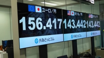 Las autoridades financieras de Japón alertan sobre la "rápida" depreciación del yen