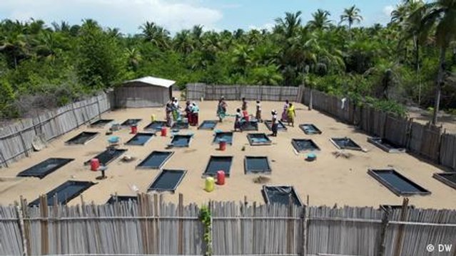 Empowering coastal communities