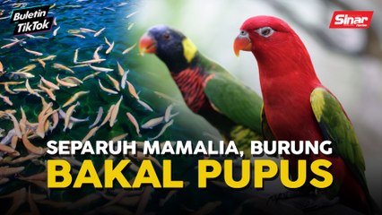 Mamalia, burung bakal pupus akibat perubahan iklim