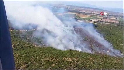İzmir'de orman yangını! Ekipler hem karadan hem havadan müdahale ediyor
