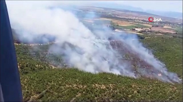 İzmir'de orman yangını! Ekipler hem karadan hem havadan müdahale ediyor