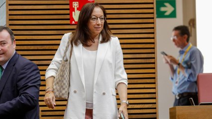 “Ustedes son los que han sacado a Franco a pasear”, y otras declaraciones de Llanos Massó