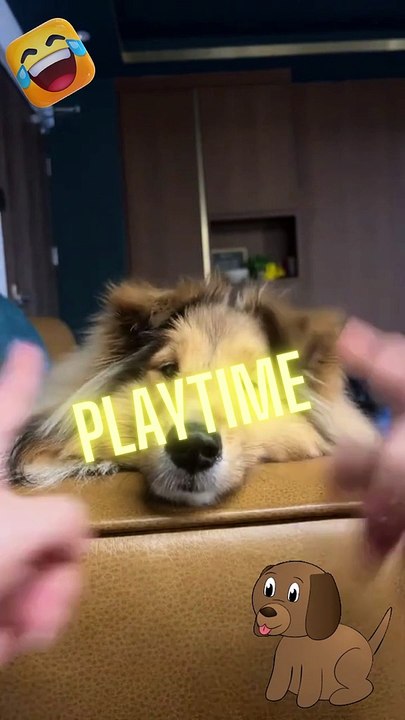 It's Playtime