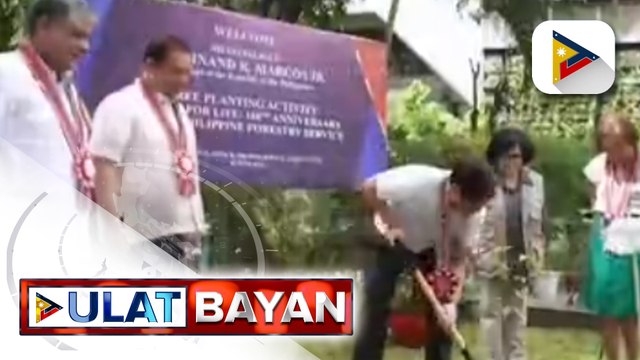 PBBM, nagtanim ng Molave tree bilang bahagi ng selebrasyon ng PH Environment Month