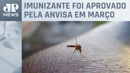 Vacina contra a dengue começa a ser aplicada nesta semana na rede particular