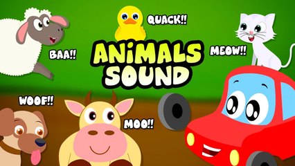 Animals Sound Song, Kids Music & Learning Videos