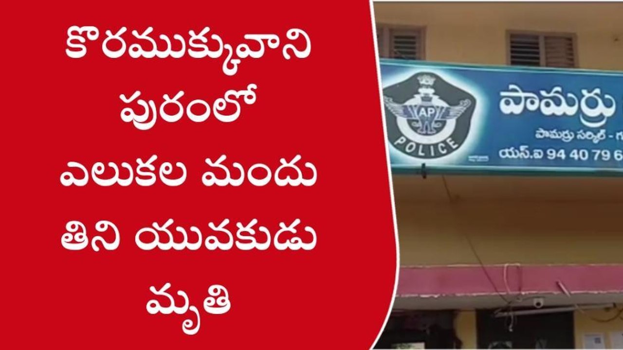 పామర్రు: తండ్రి మందలించాడని... ఎలుకల మందు తిని యువకుడు మృతి