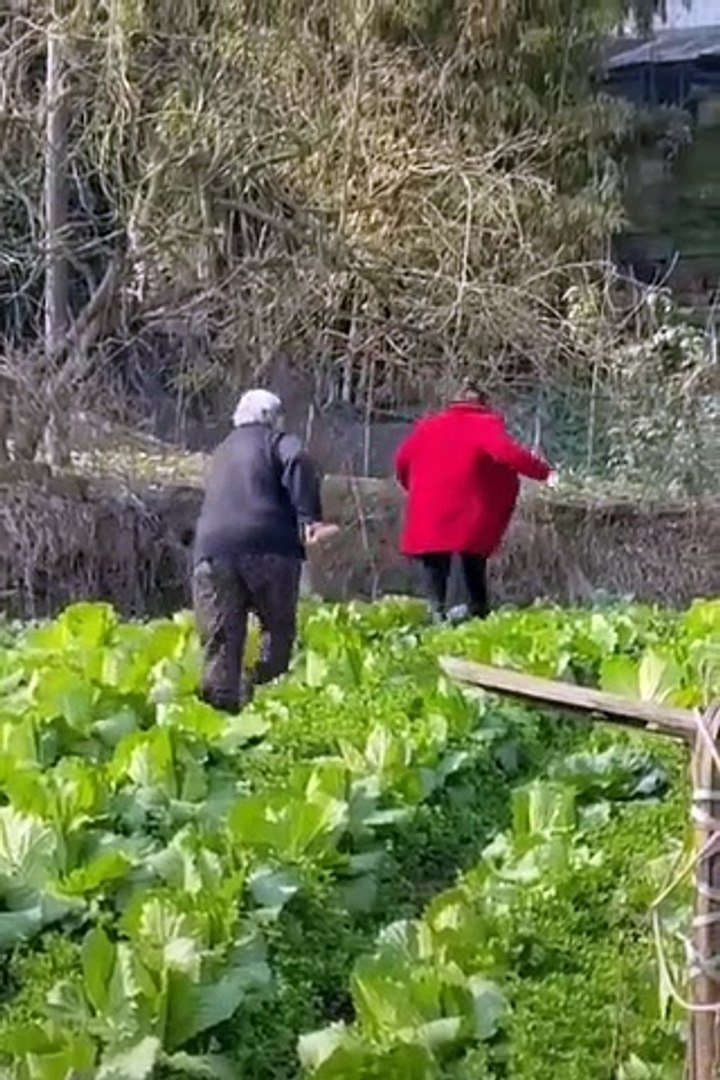 ⁣Funny Girl  Thánh Ăn Thánh Nhây Tik Tok