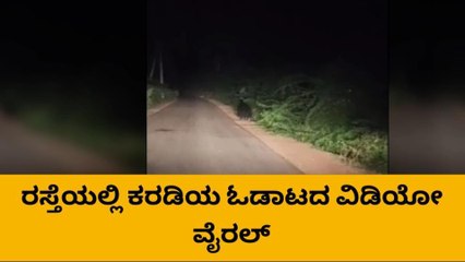 ತುಮಕೂರ್ಲಹಳ್ಳಿ ಗ್ರಾಮದಲ್ಲಿ ಕರಡಿ ಪ್ರತ್ಯಕ್ಷ, ವಿಡಿಯೋ ವೈರಲ್
