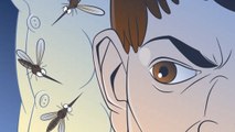 5 Formas De Prevenir Las Picaduras De Mosquito Por La Noche