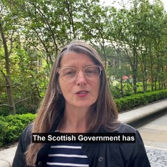 Ariane Burgess - Visitor Levy (Scotland) Bill - Call for Views (1)