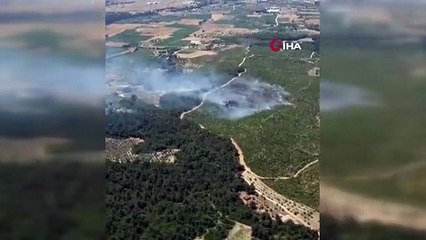 İzmir'deki orman yangını kontrol altında
