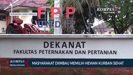 Masyarakat Dihimbau Memilih Hewan Kurban yang Sehat dan Layak Konsumsi