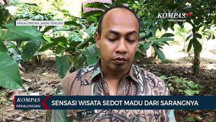 Pengunjung Bisa Beli dan Nikmati Madu Langsung dari Sarang di Kebun Lebah Karanganyar