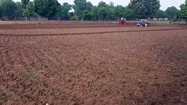झमाझम बारिश से ग्रामीण अंचल तरबतर, खेतों में जुटे किसान, देखे वीडियों