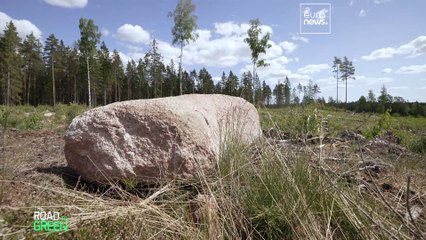Exploring Sweden's forests: How is the industry dealing with the world's demands?