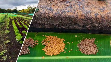 Le Talk : Revivez l'émission du lundi 26 juin 2023