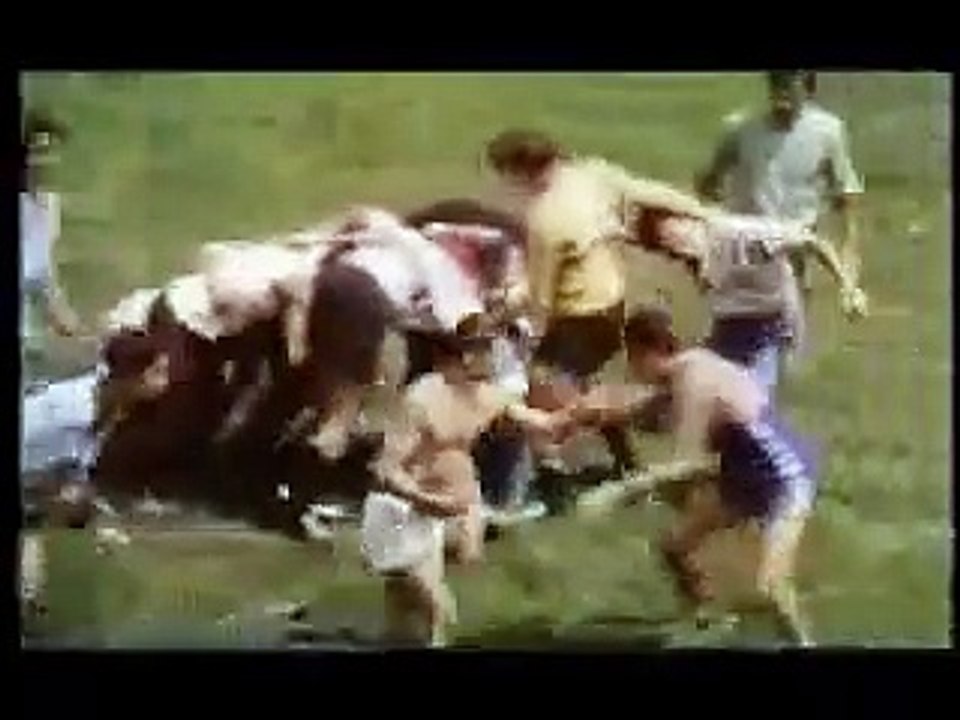 Les Roseaux sauvages Bande-annonce (RU)