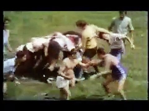 Les Roseaux sauvages Bande-annonce (RU)