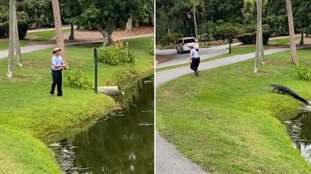 Terrifying Moment Alligator Chases Fisherman In South Carolina Video