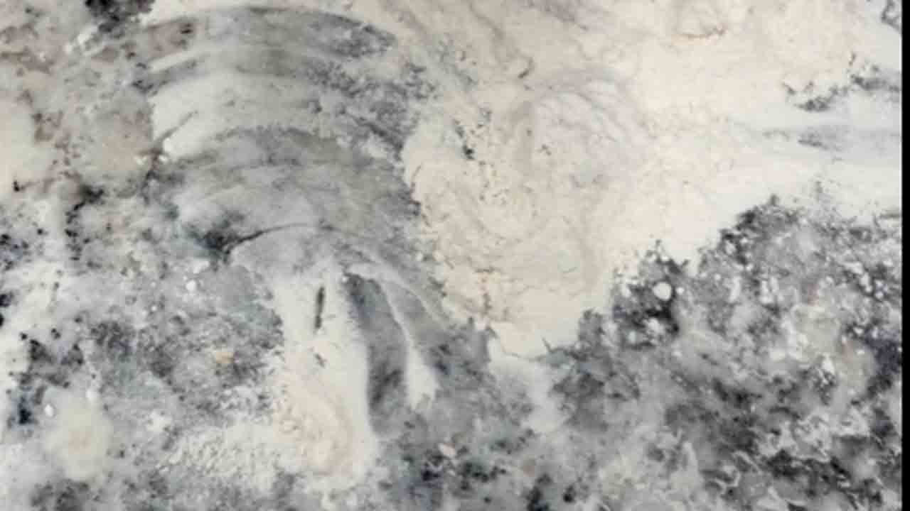 'Posey, did you eat him?' - Kids are dejected after pet dog EATS Elf on the Shelf!