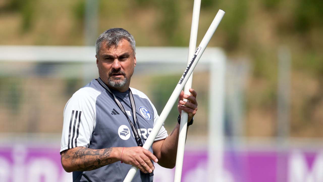 Reis: 'Wer keinen Druck aushalten kann, ist auf Schalke fehl am Platz'