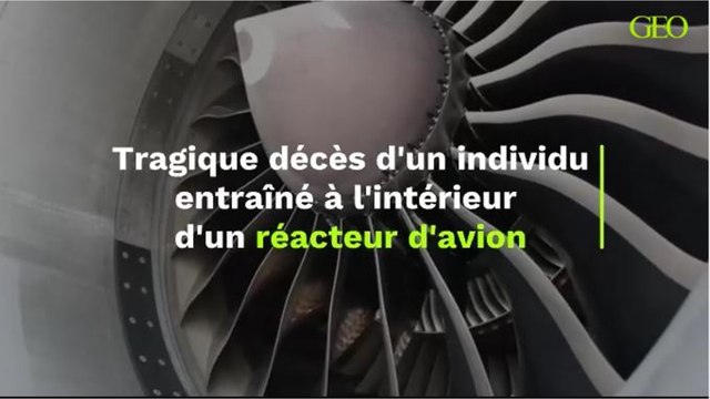 Tragique décès d'un individu entraîné à l'intérieur d'un réacteur d'avion