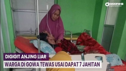 Digigit Anjing Liar, Warga di Gowa Tewas Usai Dapat 7 Jahitan
