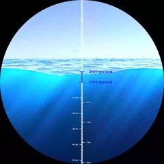 Niveau de la mer depuis 1993