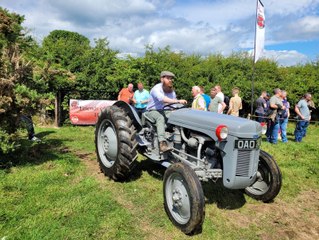 Ulster Folk Museum celebrates Ferguson Tractor Day