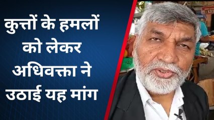 मुरादाबाद: आवारा कुत्तों के झुंड द्वारा बच्चे पर हमले के वीडियो को लेकर अधिवक्ता ने उठाई यह मांग