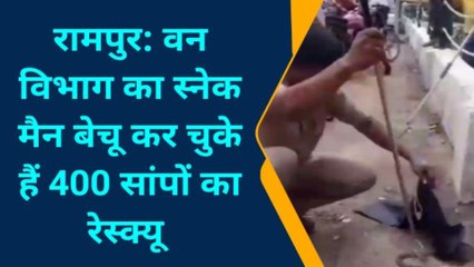 रामपुर: आज आपको मिलवाते है 400 से अधिक जहरीले सांपों को पकड़ने वाले स्नेक मैन से