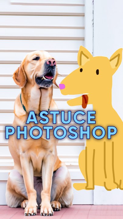 Photoshop Beta transforme vos dessins moches en photos