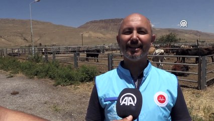 Van'da TDV'nin vekaleten kurban kesimi yapacağı tesislerde hazırlıklar tamamlandı