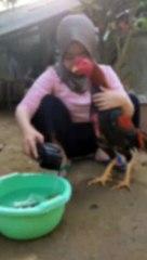 Amazing animals cokok vs girls beautiful