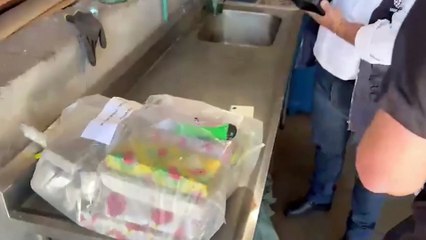 PF incinera mais de uma tonelada de drogas; veja trabalho dos federais
