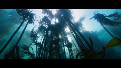 Las guardianas del planeta - Tráiler oficial VOSE