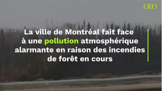 La ville de Montréal fait face à une pollution atmosphérique alarmante en raison des incendies de forêt en cours