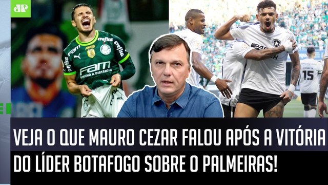 Essa VITÓRIA do Botafogo contra o Palmeiras FOI MUITO... Mauro Cezar ANALISA o LÍDER do Brasileiro