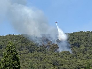 Des avions bombardiers mobilisés sur le feu qui a ravagé un hectare dans le Var
