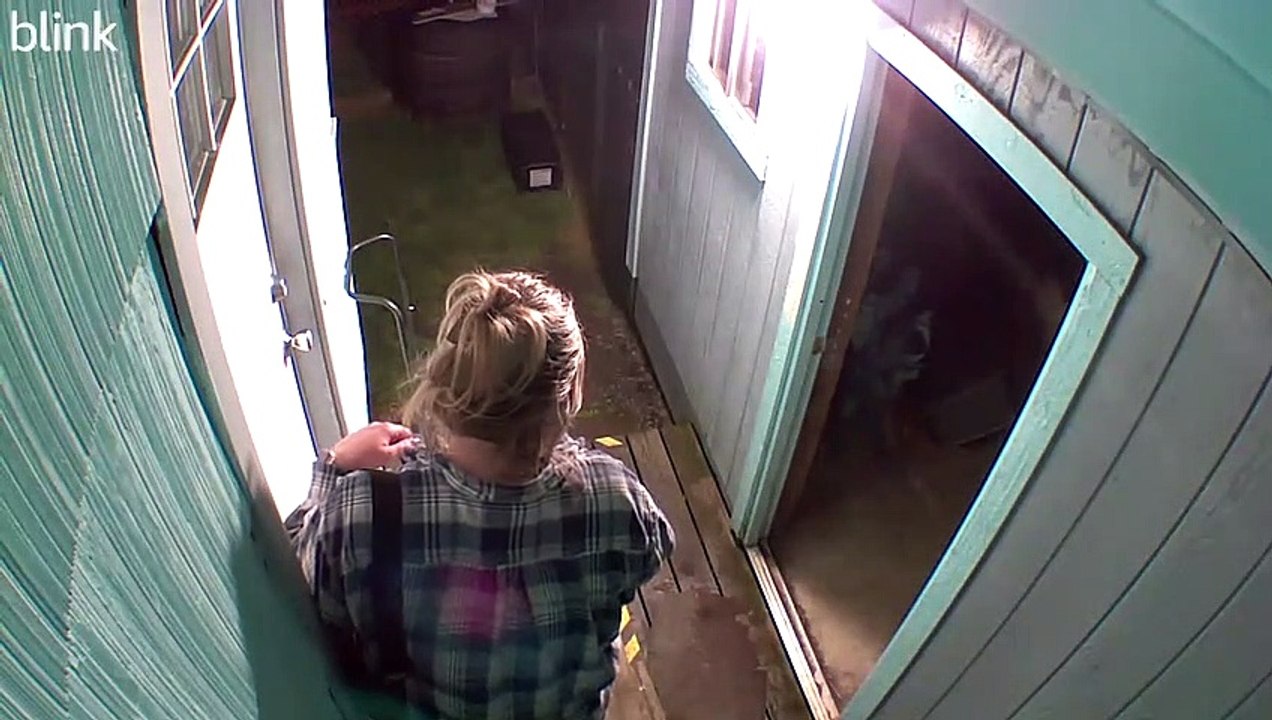 Birthday Man Laughs After Stumbling Backwards