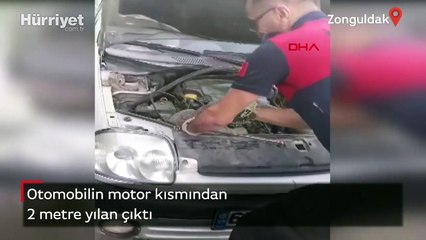 Otomobilin motor kısmından 2 metre yılan çıktı