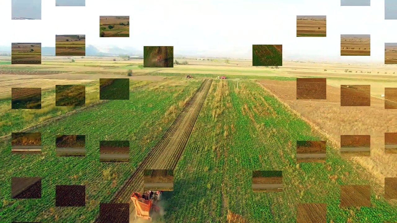 Pancar Hasadı - DIP3P+ND16 HD