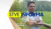 STVE Informa: Santuario de aves migratorias