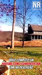 TENTA NÃO RIR com FAILS ÉPICOS de ANIMAIS LOUCOS