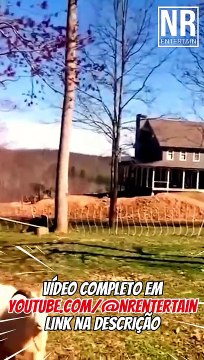 TENTA NÃO RIR com FAILS ÉPICOS de ANIMAIS LOUCOS