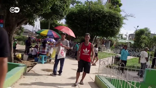 Ecologistas en peligro | DW Documental