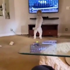 Tippmix tippek