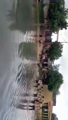 नागौर में कैसी रही रही बरसात---मौसम का ताजा अपडेट---खेत लबालब हुए या सूखे रह गए फिर...!
