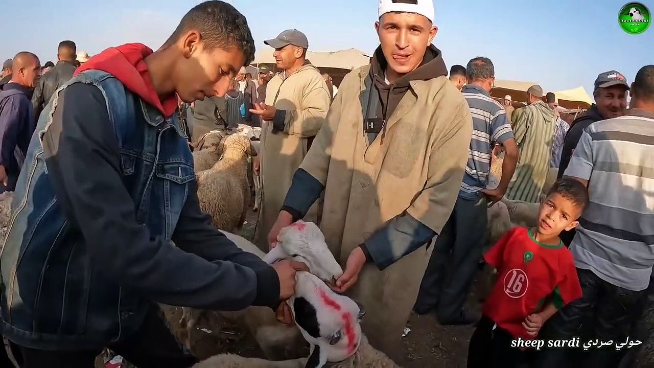 اليوم من سوق أربعاء الفقيه بن صالح مع ثمن حولي عيد الأضحى بتاريخ 26 يونيو 2023